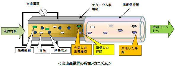 交流高電界の殺菌メカニズム